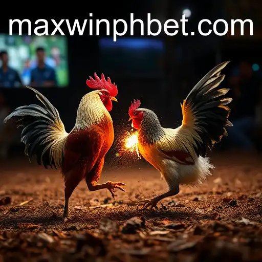 The Intriguing World of Sabong Games: An In-Depth Look